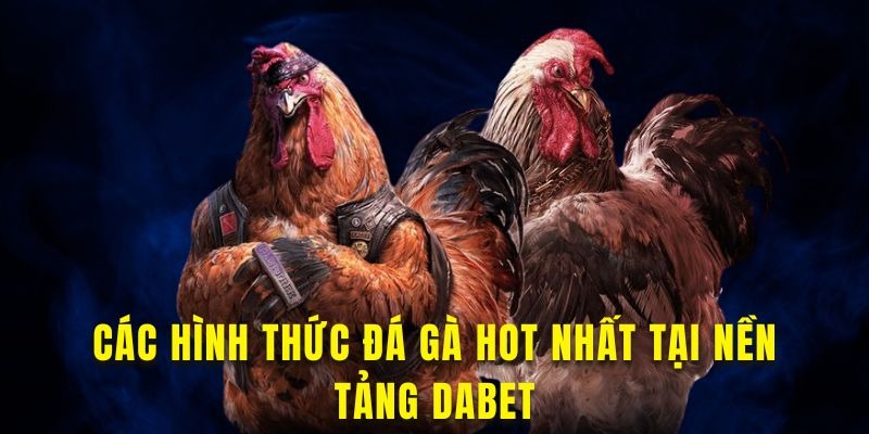 Các Hình Thức Đá Gà Phổ Biến Tại DABET