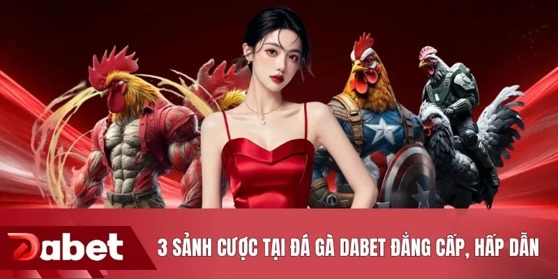 3 sảnh cược tại đá gà DABET đẳng cấp, hấp dẫn