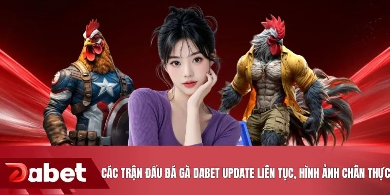 Các trận đấu đá gà DABET update liên tục, hình ảnh chân thực